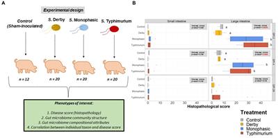 Salmonella enterica induces biogeography-specific changes in the gut microbiome of pigs